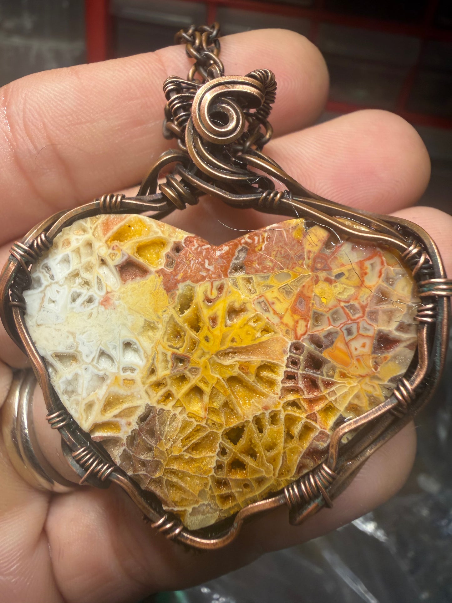 Indonesian fossils coral 🪸 heart