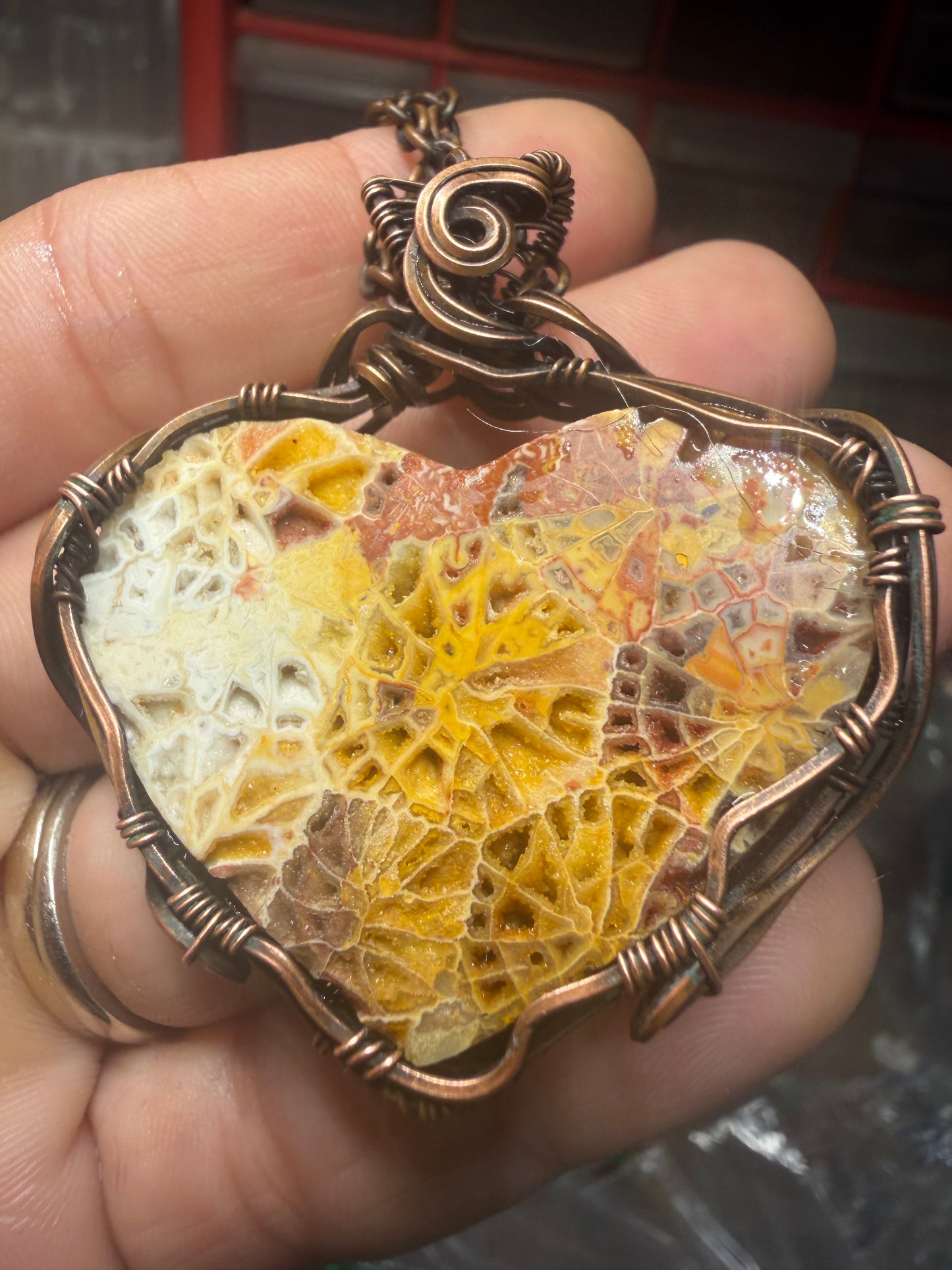 Indonesian fossils coral 🪸 heart