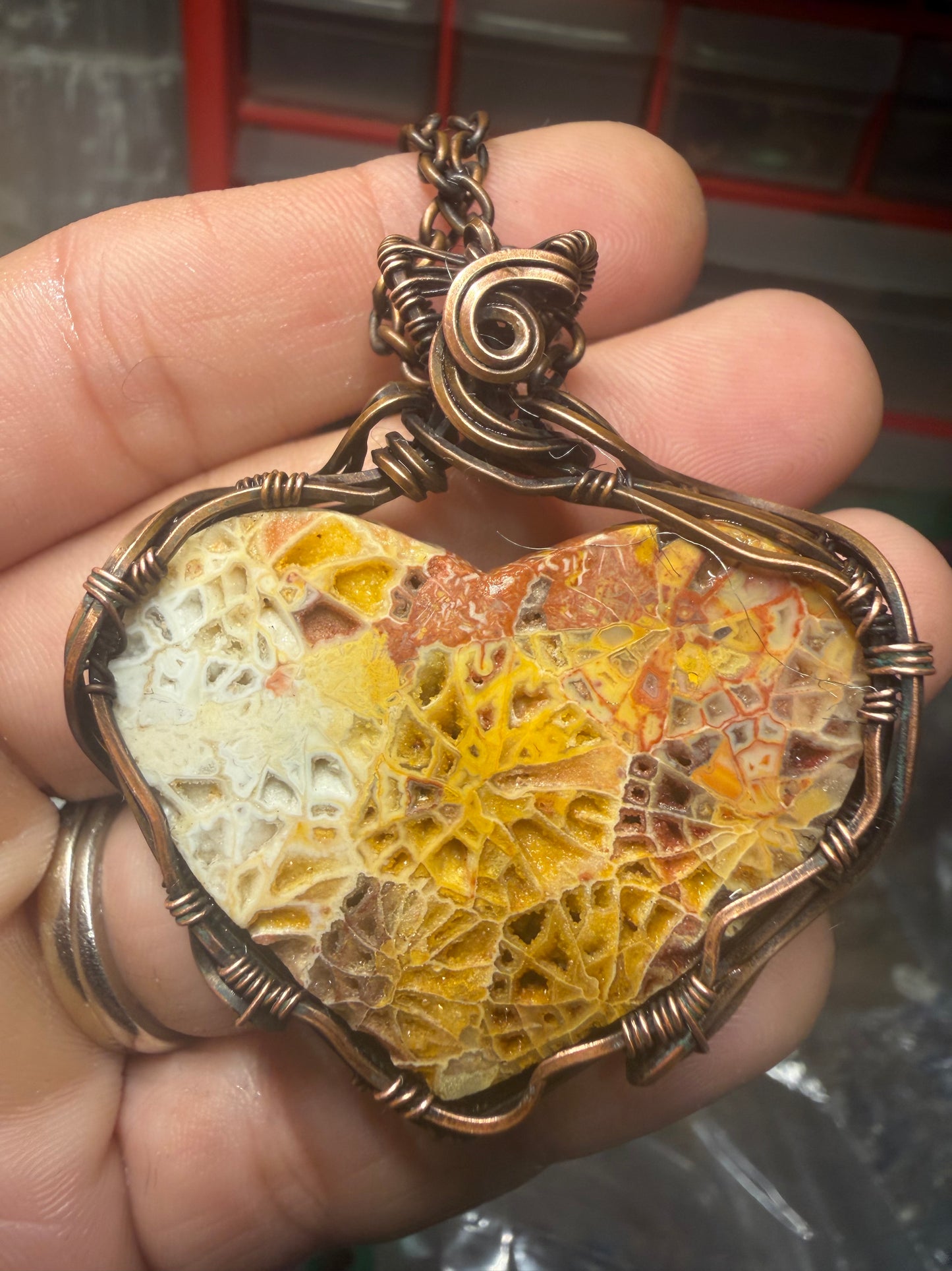 Indonesian fossils coral 🪸 heart
