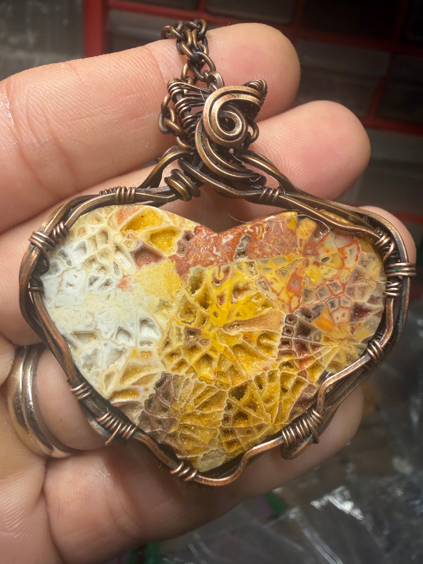 Indonesian fossils coral 🪸 heart